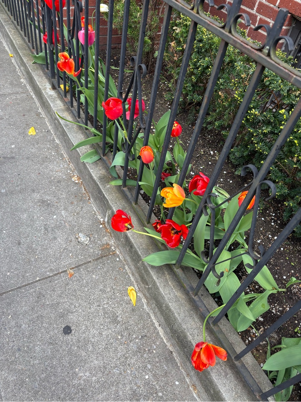 Meet your Posher, G.R.